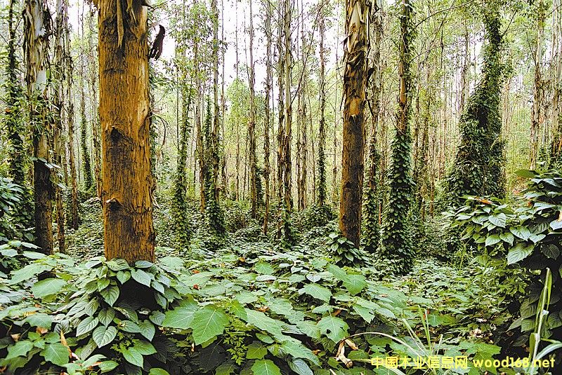 �����ǡ��¸��䡱߀�ǡ���ˮ�C(j��)��