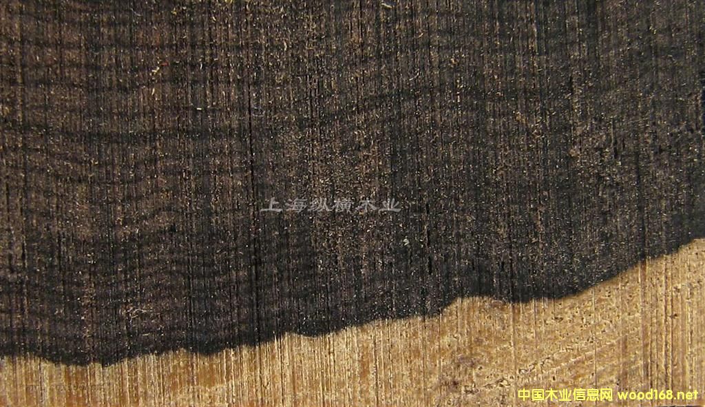 �tľ�òļ�(x��)�����|�Ǻ��S̴�ă�(y��u)ȱ�c(di��n)