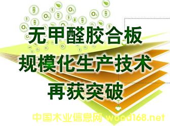 �҇�(gu��)�o(w��)��ȩ�z�ϰ�Ҏ(gu��)ģ�����a(ch��n)���g(sh��)�٫@ͻ��