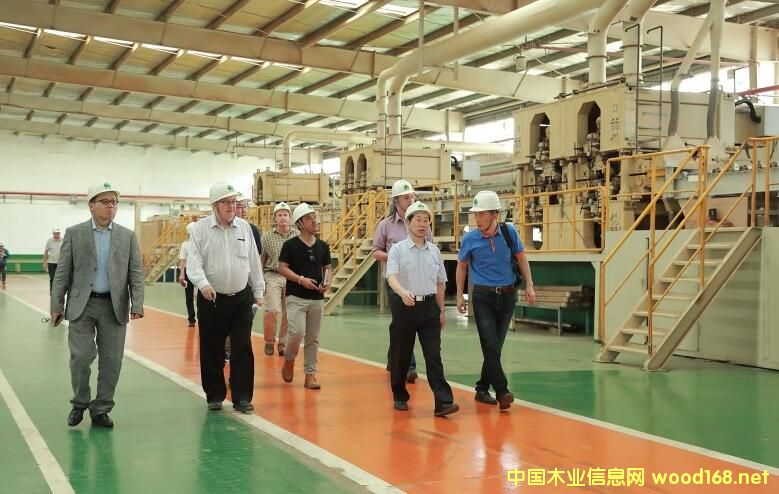 �����m���Ĵ��������R������ľ���ИI(y��)����F(tu��n)���S��ľ�I(y��)