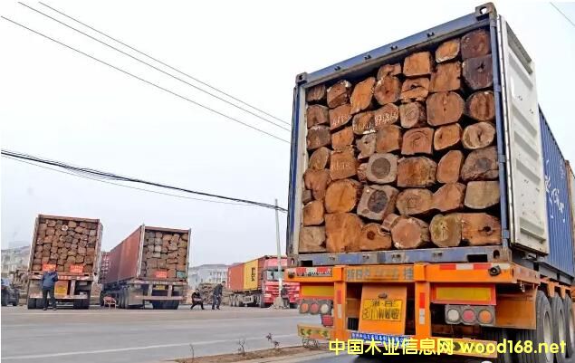 �|ꖼtľ�Ј�ӭ��ȥ������C��