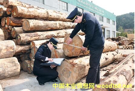 �������M(j��n)��ľ�Ŀ��������L���Ⱦ���(chu��ng)�v�����