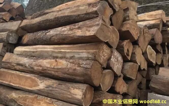 �����̴�Ј����F(xi��n)���ۣ��r���ػؚvʷ��λ