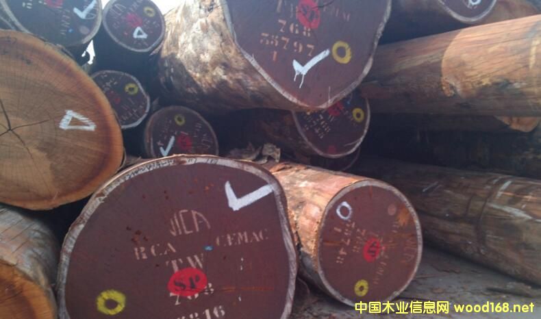 ����ľ��--ɳ����ԭľ