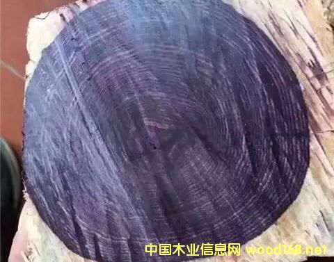 ِ���S̴:��һ�Nð�亣���S�����ľ��,���ƶ��_(d��)90%