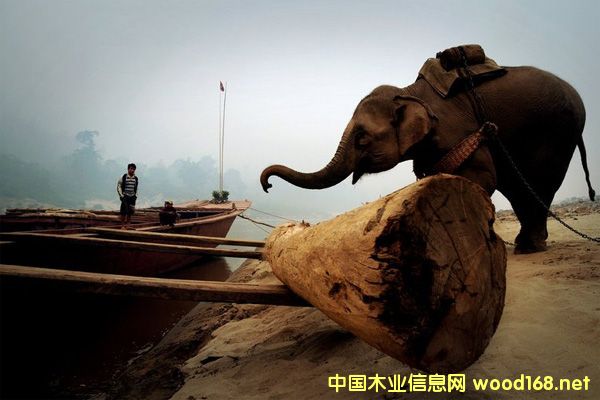 �|�ρ��tľ�M(j��n)���y�ȶ�����һ���y����Ɲq�Ҿ�����