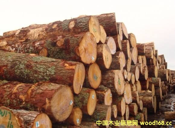 ӡ���������mԭľ�������M(j��n)���Ј�(ch��ng) 2017�������^�m(x��)���L