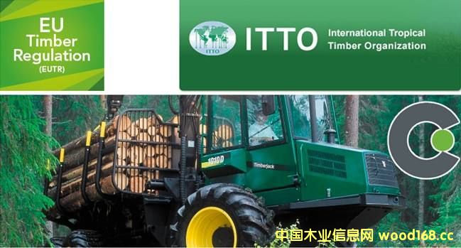 FSC�J(r��n)�C�͡��W��ľ�ķ�Ҏ(gu��)����Ҋ���}���