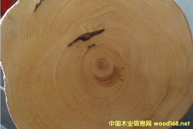 巴新木材手冊--巴新材中文和英文名對(duì)照