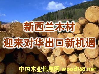 �����mľ��ӭ��(l��i)��(du��)�A�����C(j��)��