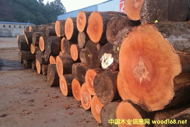 �W�����͵���䏲�ԭľ�r(ji��)�����10����ĵ��c(di��n)