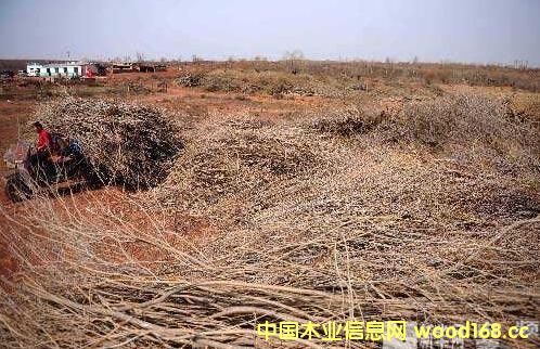 ������˹ɳ���ؽMľ��ɳ��ľ�Ͳġ��ٻ����γ�Ҏ(gu��)�����a�I(y��)