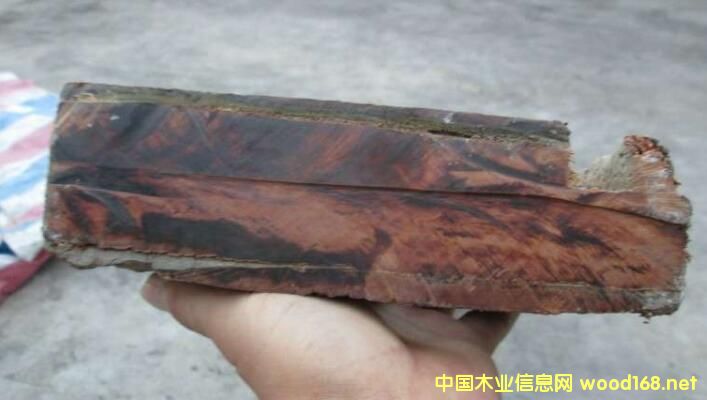 ��ľ---����ľ