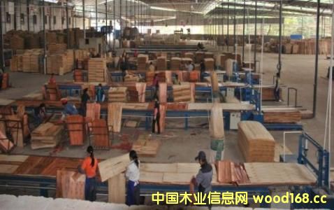 ӡ���z�ϰ�����(qi��ng)��������(y��ng)���� �o�Ї��������I(y��)���������C(j��)