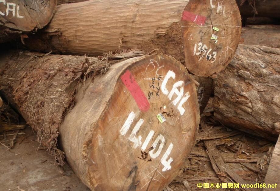 ���_�T(m��n)ľ��-���ǹ���CAL��CL�� ԭľ