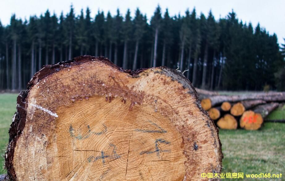 ȫ��ľ���Ј��������r���ϝq �����ИI(y��)����ϴ��