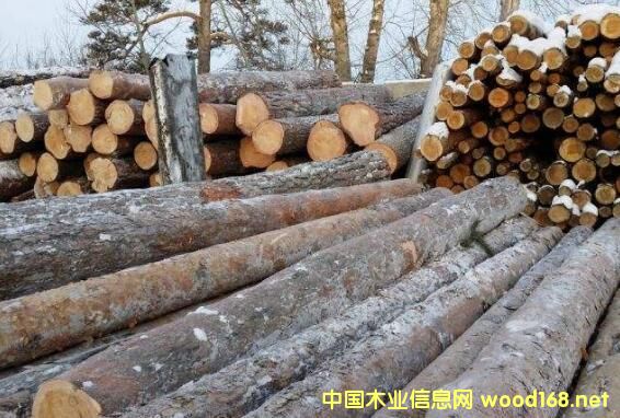 ���_˹��� ���ľ�ĺ�ľ��Ʒ�^�󲿷ֳ��ڵ��Ї��Ј�