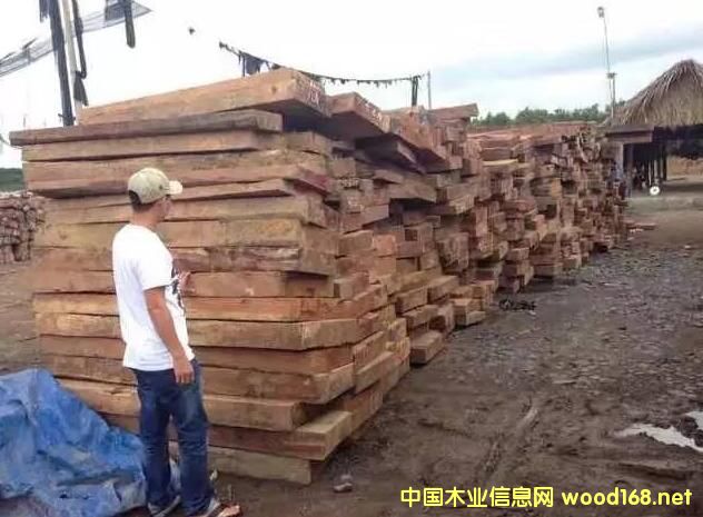 ����ľ���ꌢ�oľ�������tľ�Ј�����Ч��(y��ng)�_ʼ��