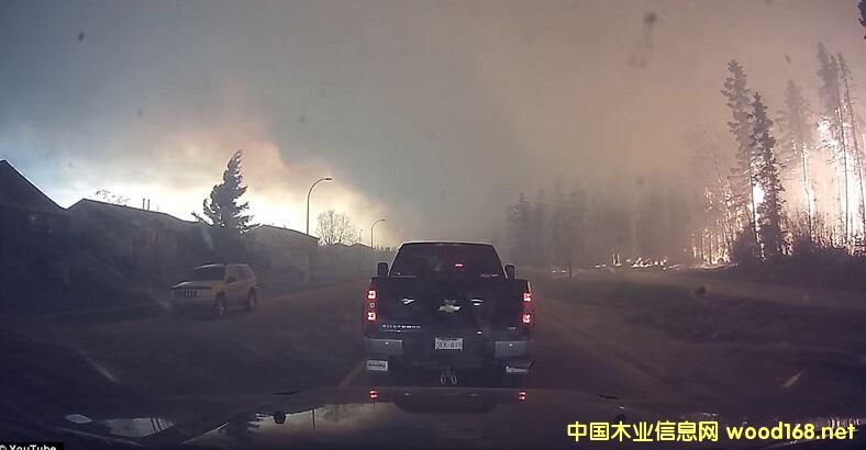 ���ô�ɭ�ִ���Fɼ�����ɕ��q�r����