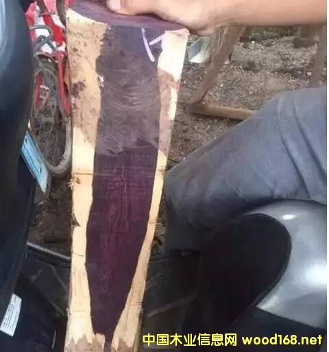 ِ���S̴:��һ�Nð�亣���S�����ľ��,���ƶ��_(d��)90%