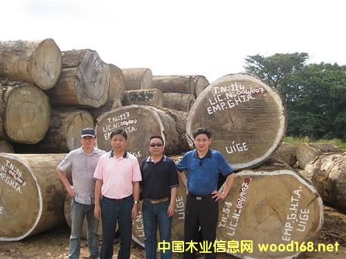 ������ľ�Įa(ch��n)�I(y��)��ȷ���