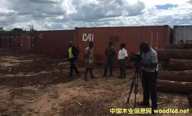 ���F��ԭľ������(j��)��̴����ֹ���������I����ϧ