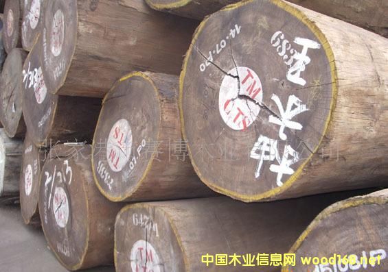 ���I(l��ng)ľ�����L(f��ng)�У�ȫ���������ľ��