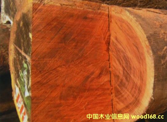 �ͻ����ڳ��چ��}׃�ø��ӏ�(f��)�s