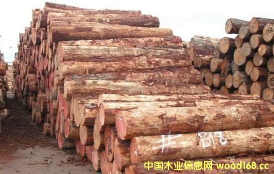 �����mݗ����ԭľ���m(x��)�q�r������(n��i)�����Ј�����������