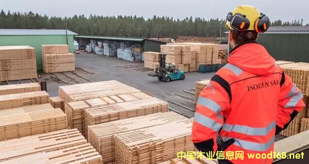 ���m���ľ�I(y��):���H�I(y��)��(w��)�UѸ�������E��ʲô��