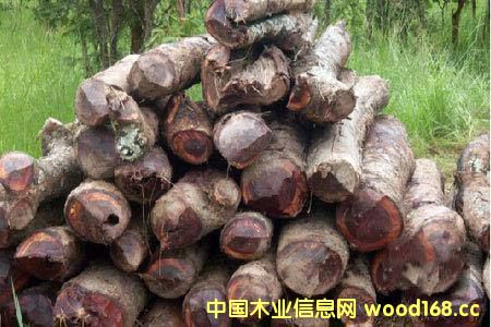 ���޲ļ������S�ݡ� ���������󣬌��ȁ���ٝ�ȁ����^��ֹԭľ��