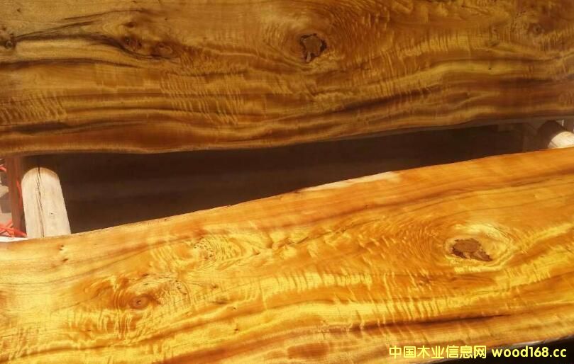 ��z�ľͶ�Y���ɟᵽ�� �Ј��������ˆ���