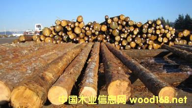 ������~�Įa�����������L3%