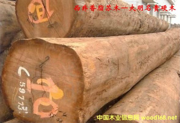 木材樹種詳解--西非香脂蘇木 俗稱:非洲油檀王