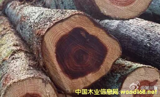 ���޲ăr���ձ�q�r200-400Ԫ/������