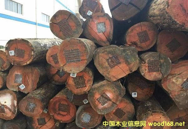 ����ľ��--������õ��ľ