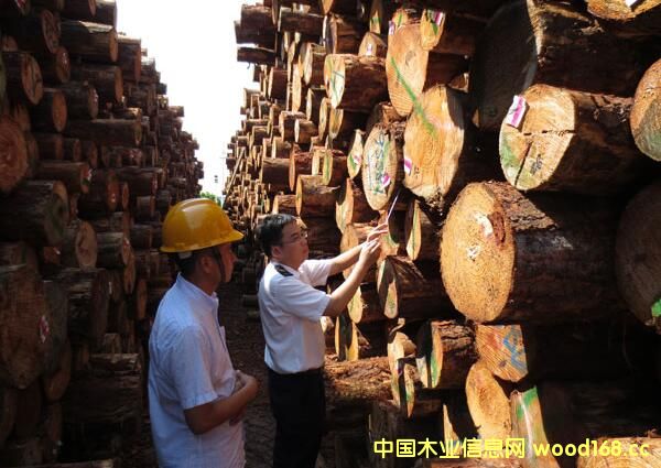 �M��ľ�ęz���Ј��_����ģʽ �|(zh��)�������ƄӰl(f��)չ