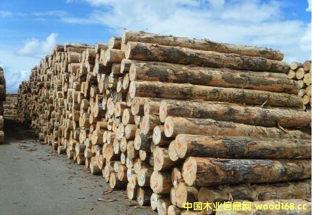 ԭľ����(y��ng)���� �������ľ�ļӹ��S���R�ÆT