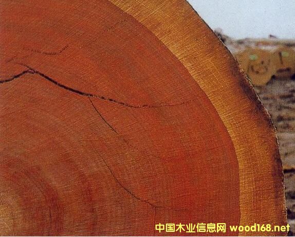 ��(gu��)�H��(li��n)��(b��o)�棺ȫ��딵(sh��)�Ƿ�ľ��������ӡ �������W����