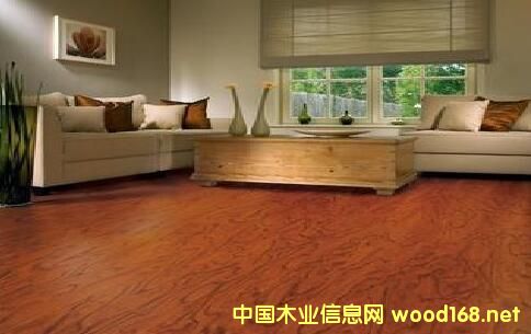 ľ�ذ���I(y��)̽���l(f��)չ����:���Ի����¹������P(gu��n)ע