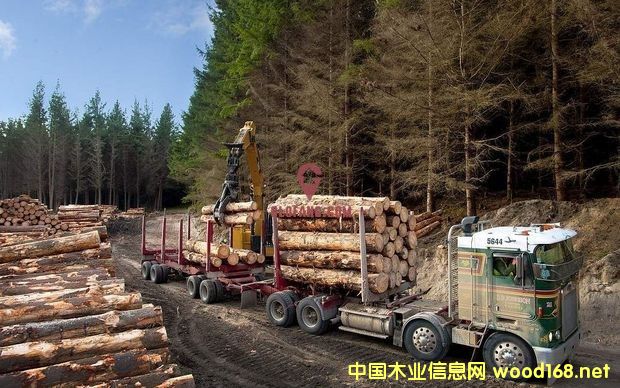 �����mԭľ���ڃr���ѵ���8�����ԁ�������c(di��n)