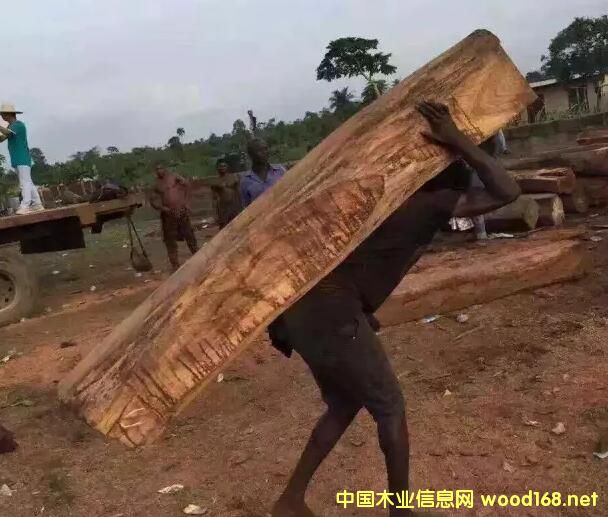 CITES���9.24���_�������������h�����̴��������lΣ