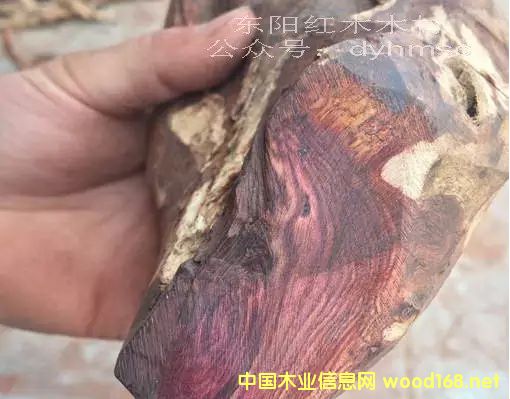 ԓ�S����a(ch��n)�Ծ��顢�ϓ�Ę���