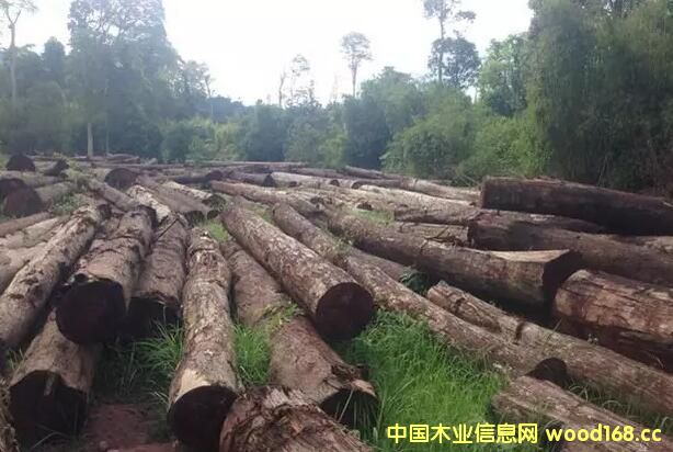 �ϓ����ʡ���e�еڶ��ηǷ�ľ�����u��