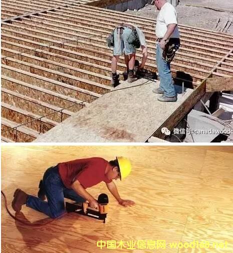 ����Y���ٻ��壨OSB���ͽY���z�ϰ壨plywood��������