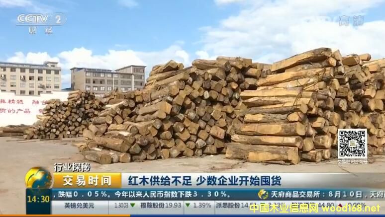 �ϓ�ľ�Ŀ��������@����(y��n)��ή�s�����ټtľ�̑��_ʼ��؛