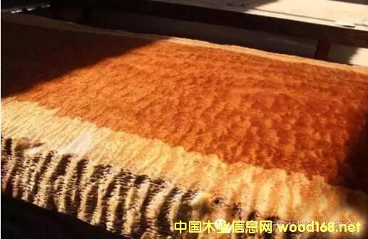 ���޻���ľ�����Q�ͻ���