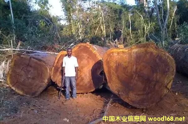 �G��ɣ���f(w��n)ľ֮����ľ���������