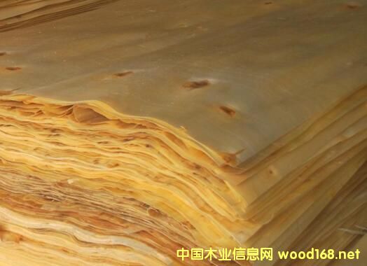 ����h�����I(y��)ӭ�����ڶ����� �Ą�(l��)���a(ch��n)��Ҏ(gu��)���Ƥ