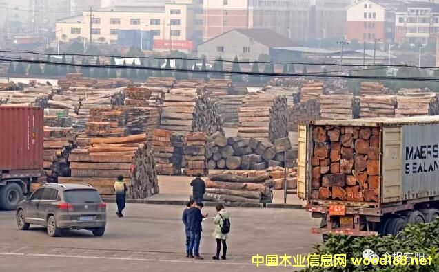 CITES��Ҏ(gu��)��(zh��)�� �tľ���P(gu��n)���y �|�(y��ng)�tľ�Ј�(ch��ng)ӭ��(l��i)ȥ��(k��)�����C(j��)